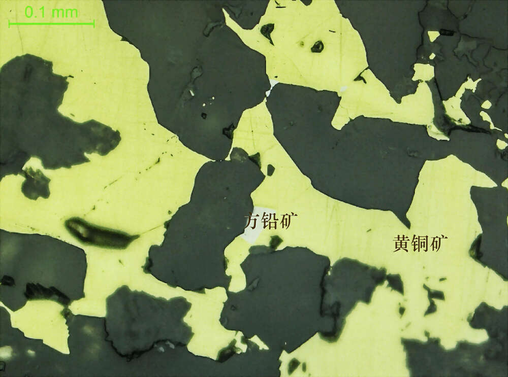 方铅矿-黄铜矿