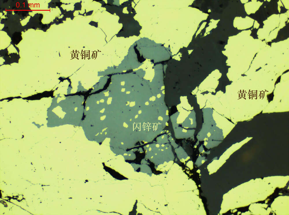 早期黄铜矿