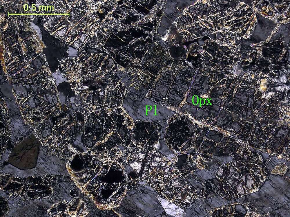 苏长岩 