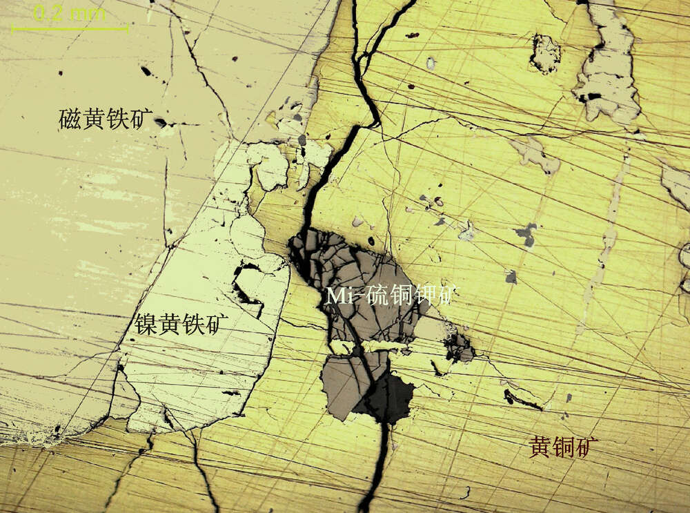 Ni-硫铜钾矿