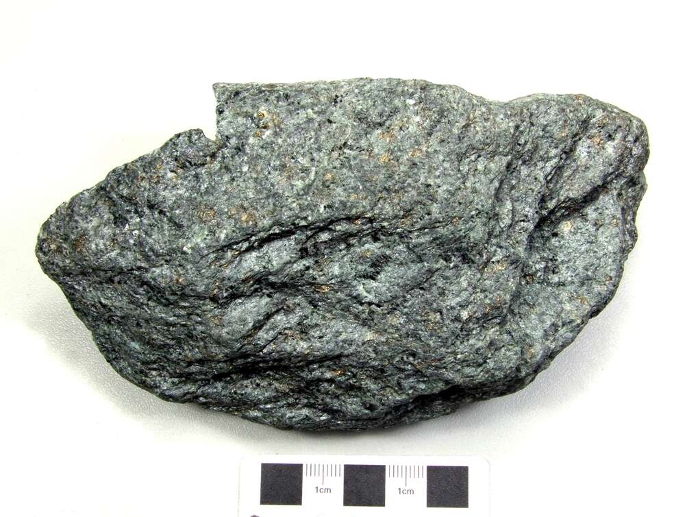 //