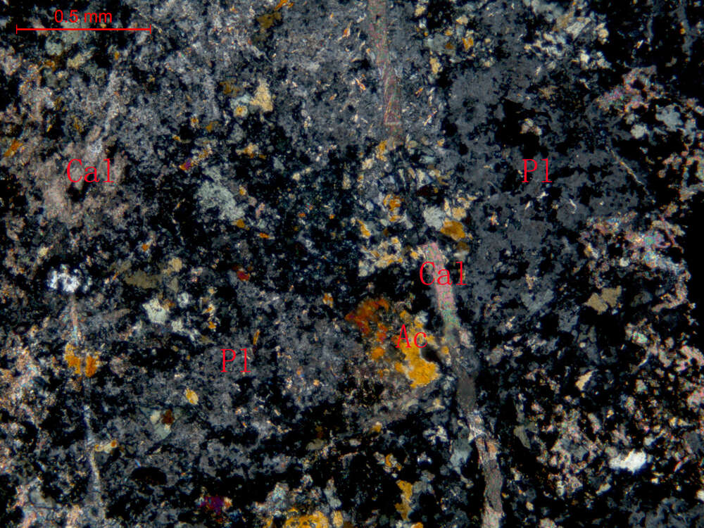 蚀变闪长岩