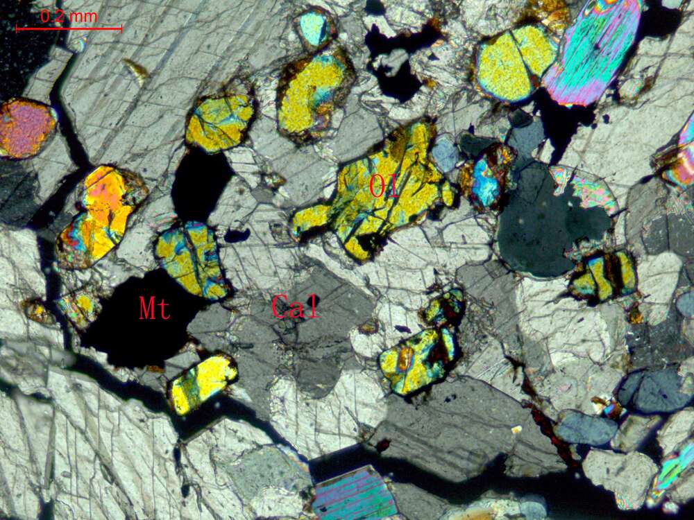 橄榄石大理岩
