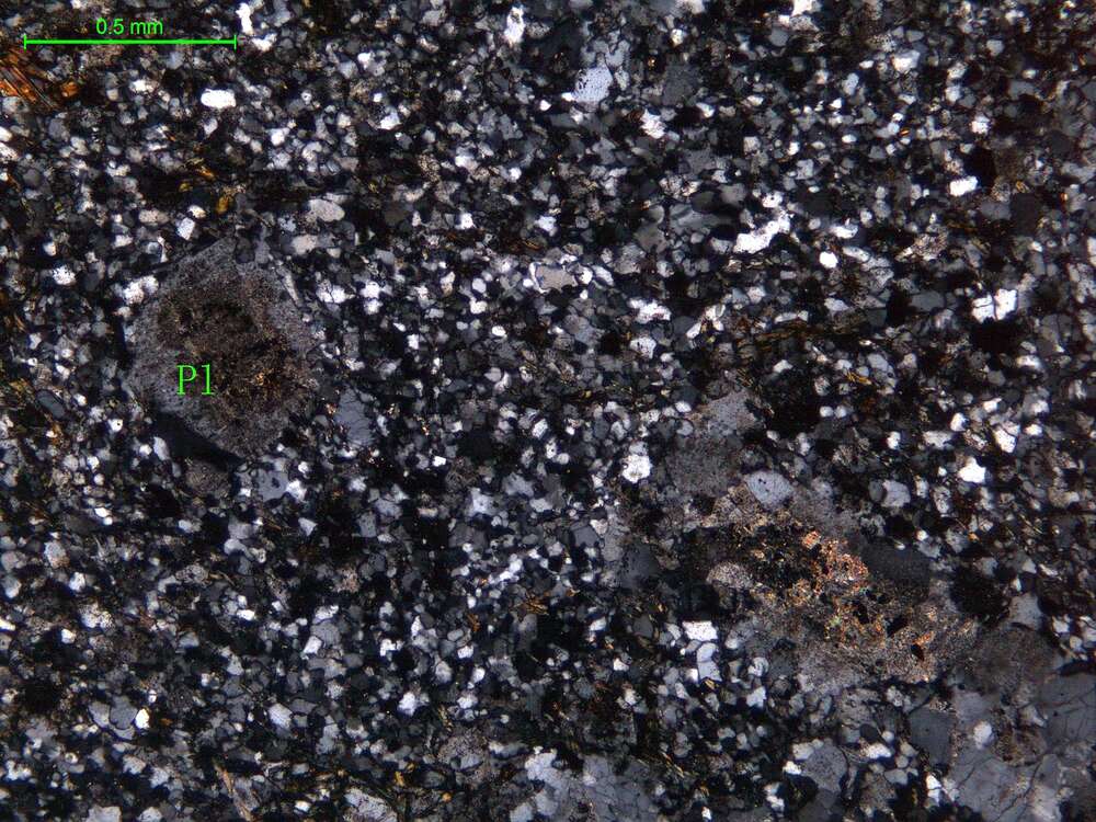 蚀变石英闪长岩