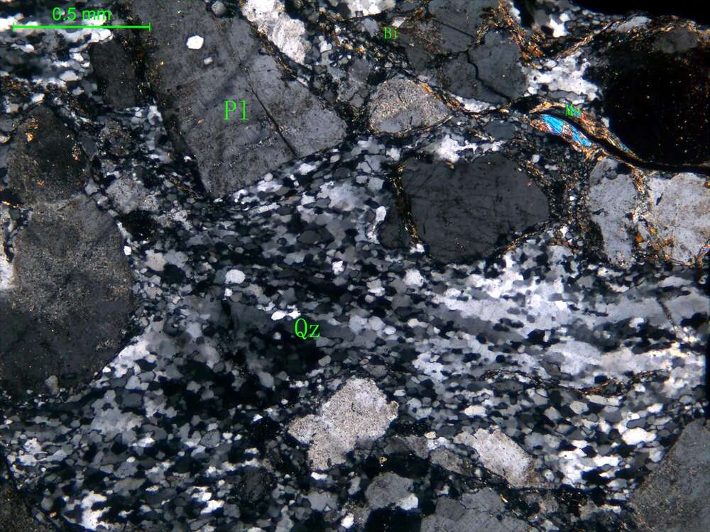 片理化细粒斜长花岗岩