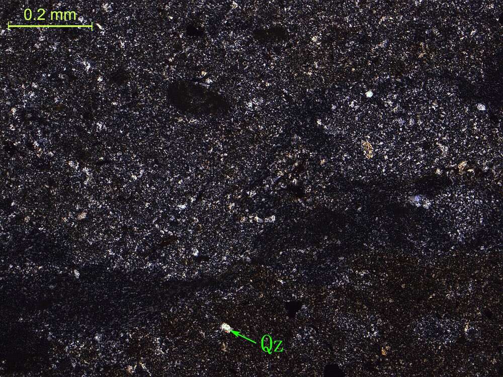 凝灰质粉砂岩