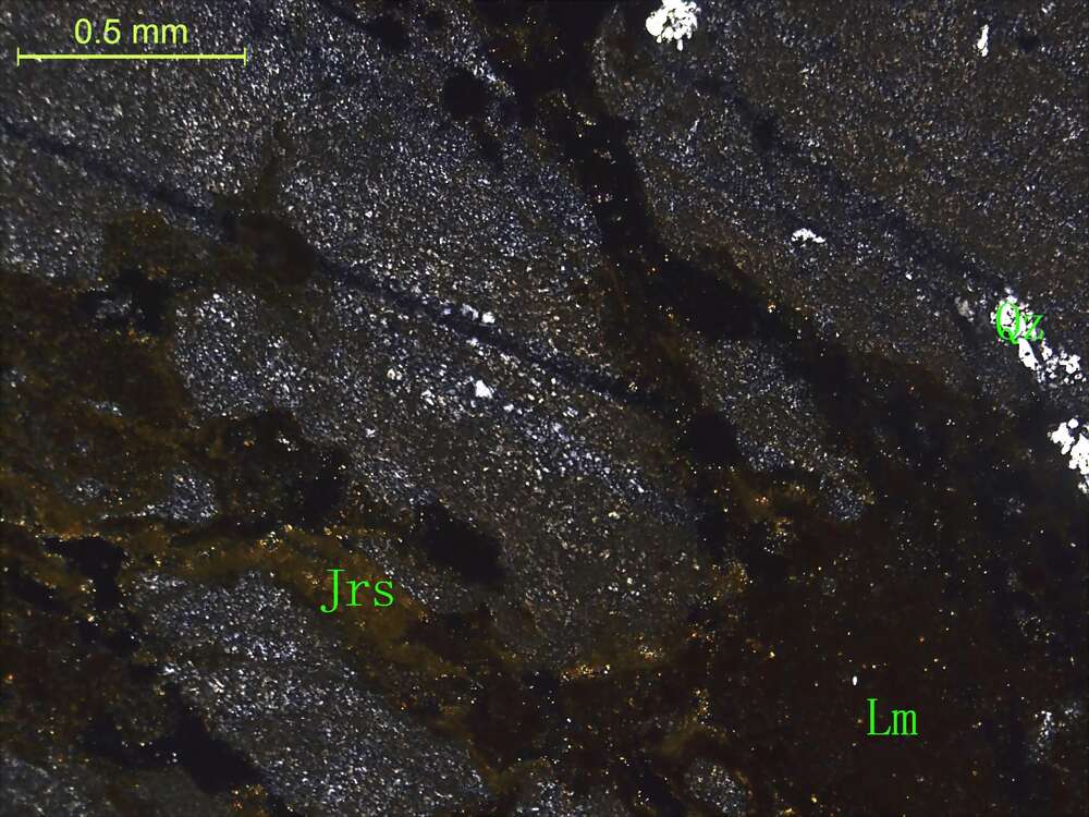 褐铁矿化黄钾铁矾化糜棱岩化硅质岩