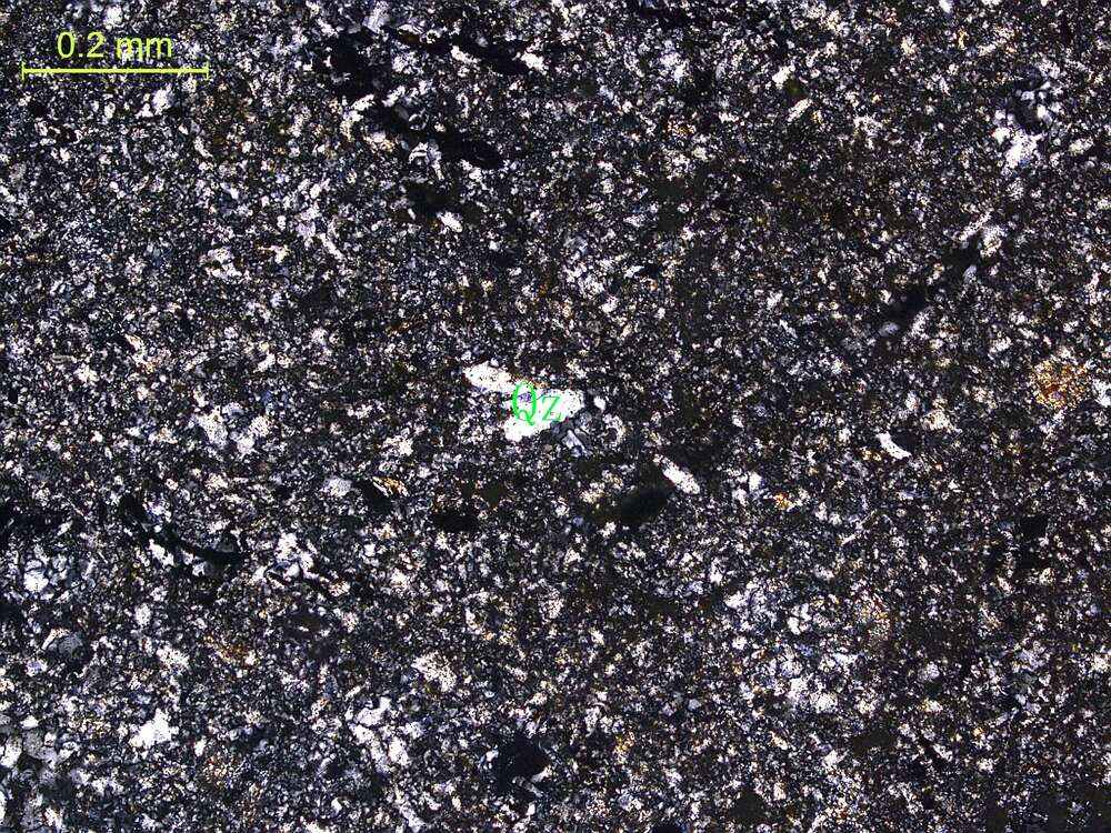 硅化含炭质碎屑凝灰质粉砂岩