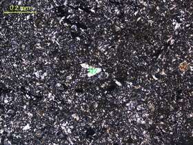 硅化含炭质碎屑凝灰质粉砂岩