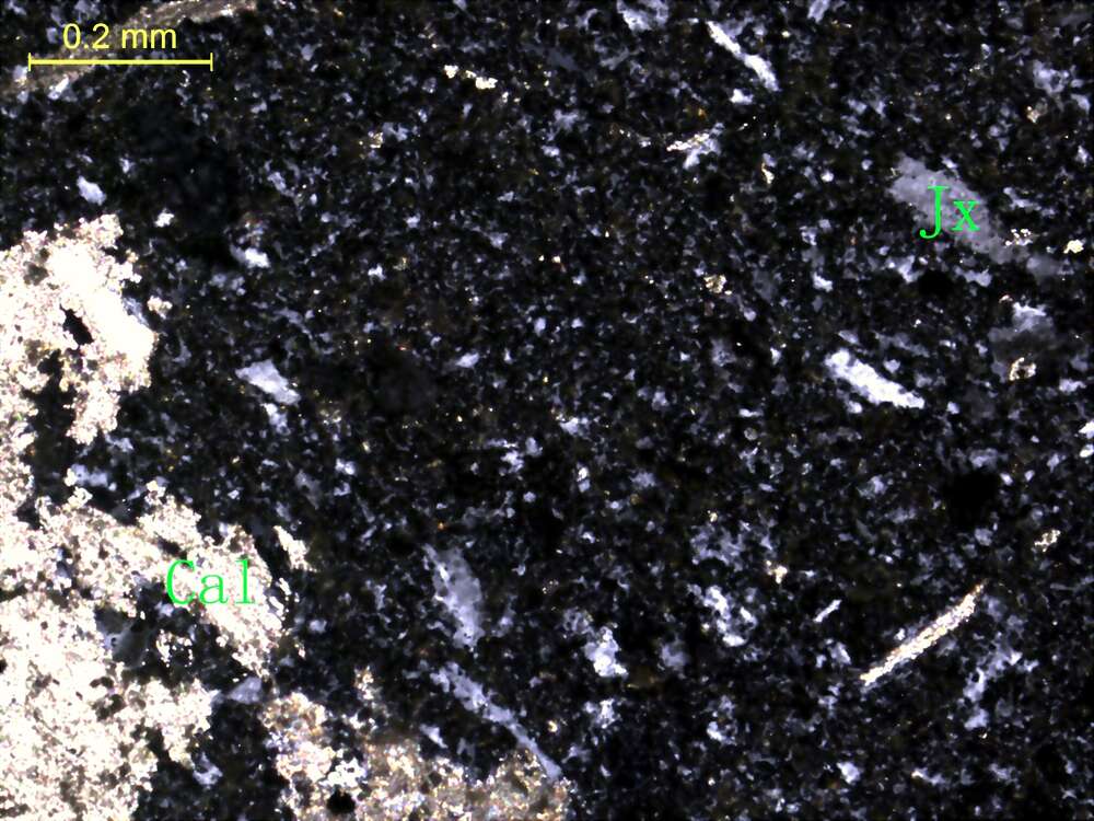 碳酸盐化蚀变火山灰尘凝灰岩