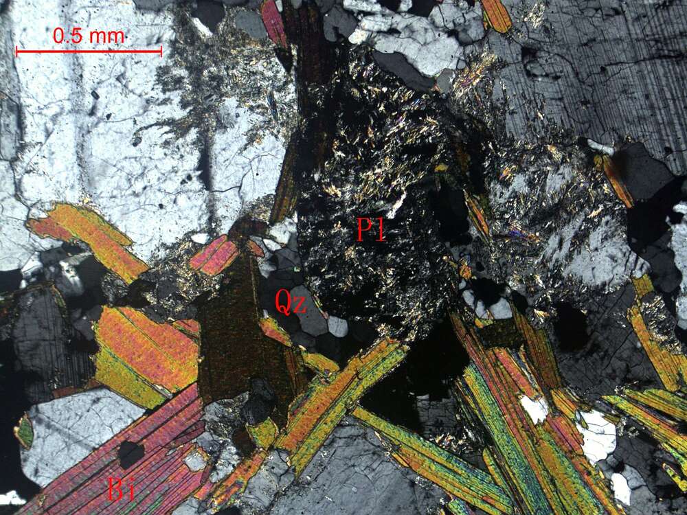 黑云母斜长片麻岩