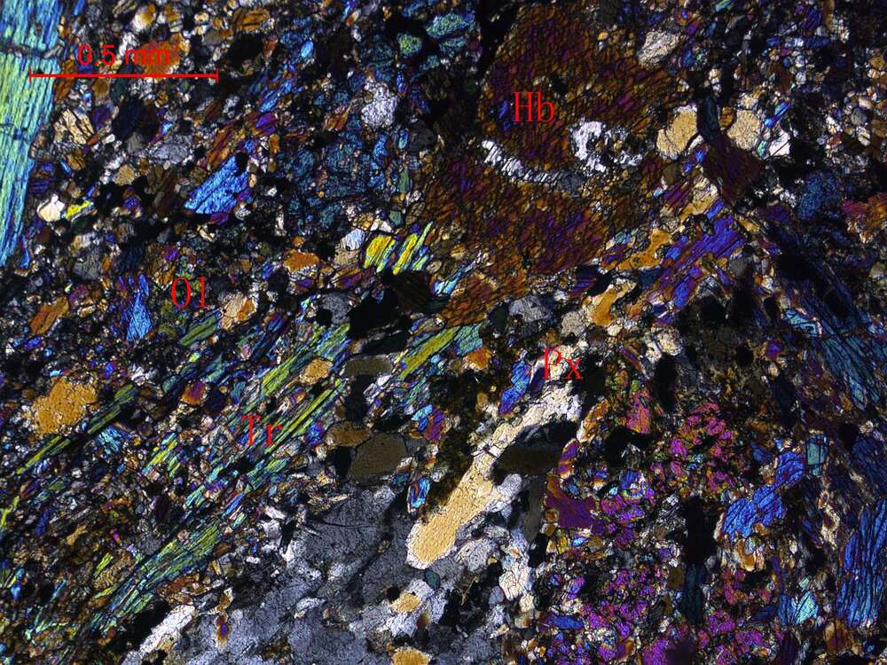 片理化蚀变含橄榄石辉石岩