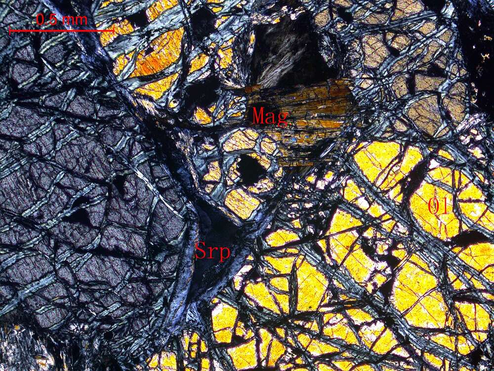蛇纹石化纯橄岩