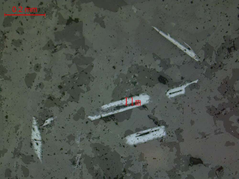 钛铁矿
