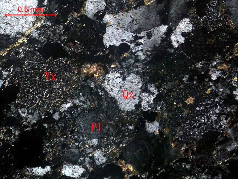 碎裂强蚀变长石岩屑砂岩
