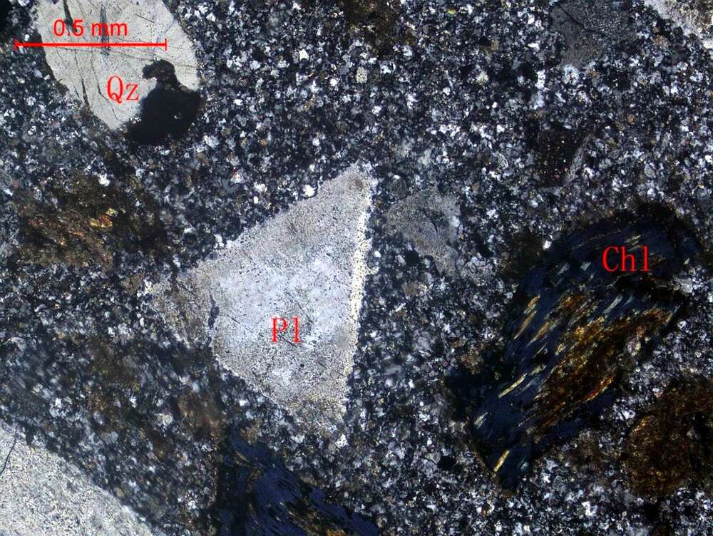 蚀变黑云母英云闪长斑岩