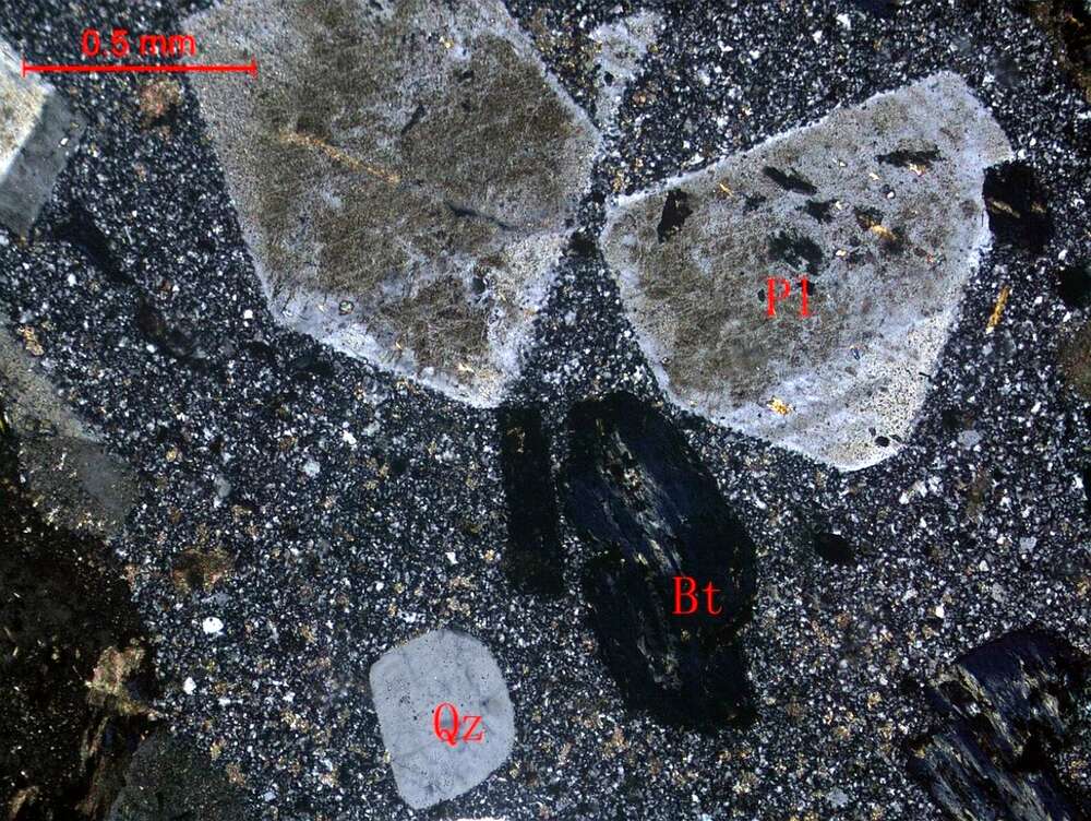 蚀变黑云母英云闪长斑岩