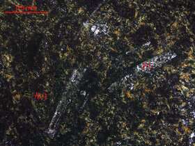 阳起石岩（强阳起石化玄武岩）
