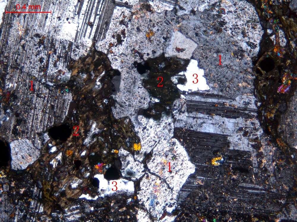碎裂蚀变细粒闪长岩