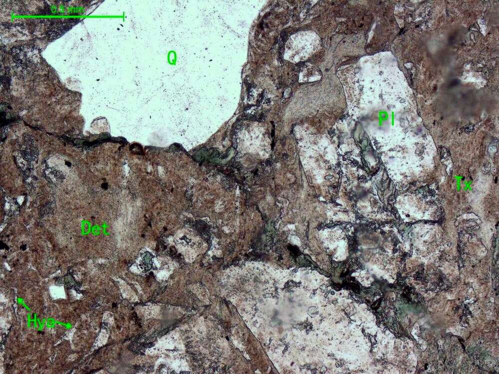 碎裂蚀变凝灰质中粗粒砂岩