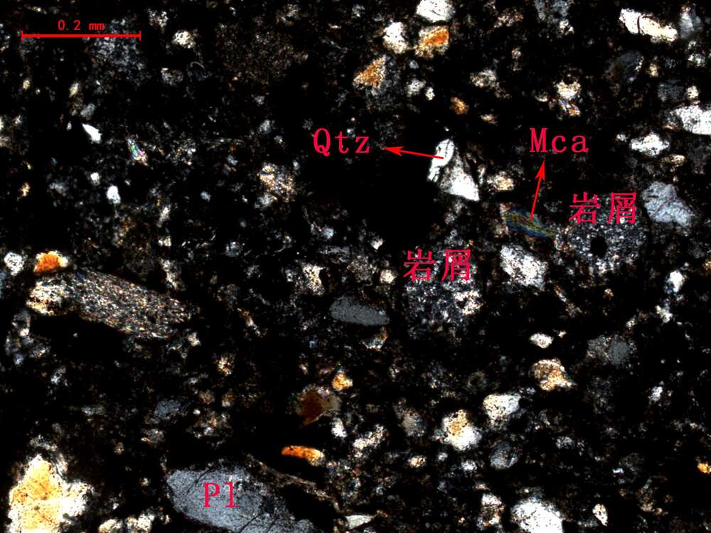 褐铁矿化粉砂质细粒岩屑砂岩