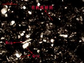 泥质含炭质细砂质粉砂岩