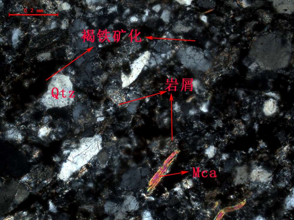 细粒岩屑砂岩
