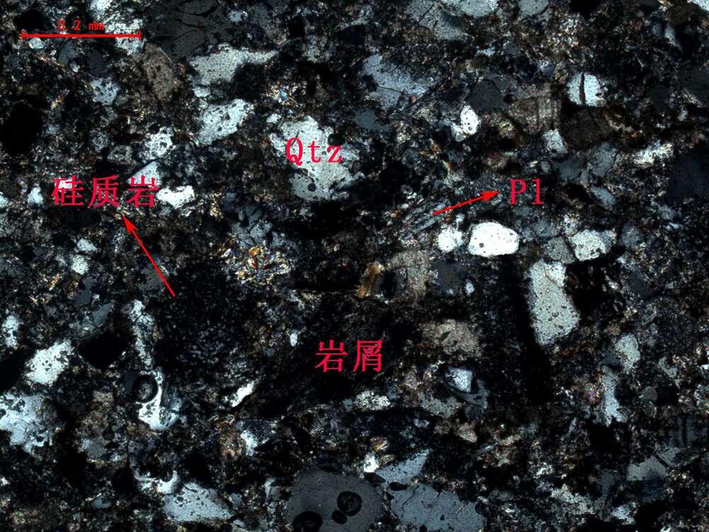 细粒岩屑砂岩