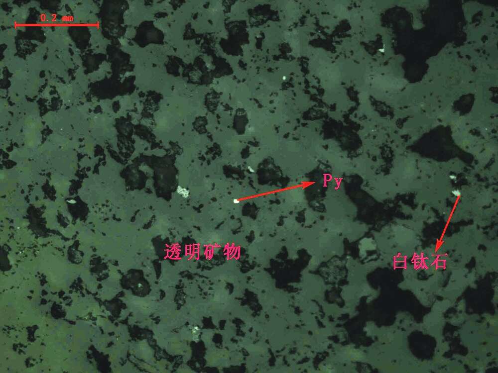 白钛石、黄铁矿