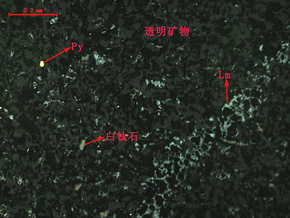 褐铁矿、闪锌矿、黄铁矿