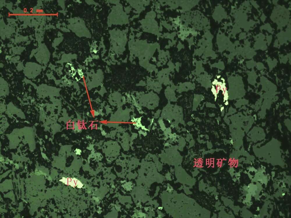 白钛石、黄铁矿