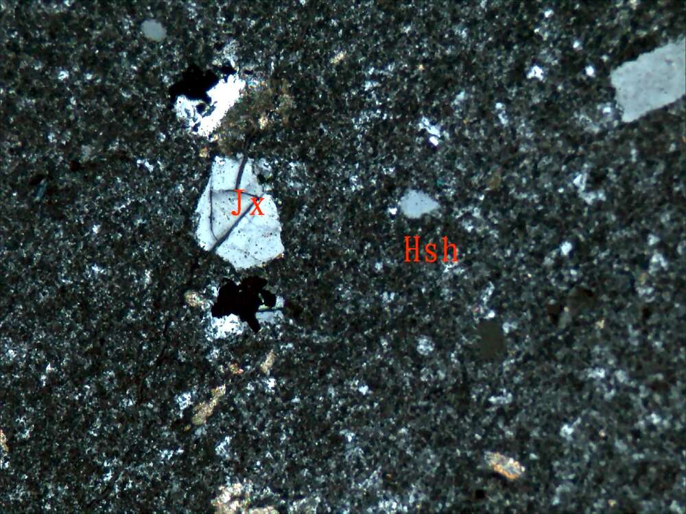 黄铁矿化蚀变火山灰尘凝灰岩