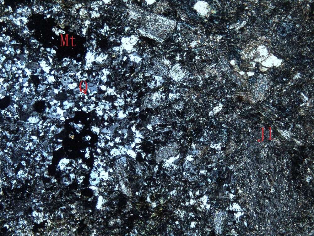 弱磁铁矿化蚀变火山角砾岩