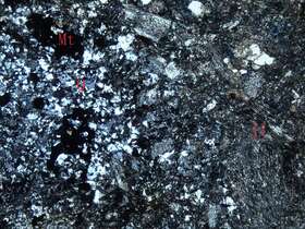 弱磁铁矿化蚀变火山角砾岩