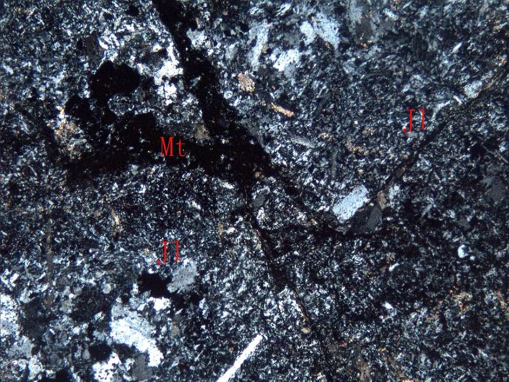 弱磁铁矿化蚀变安山质火山角砾岩