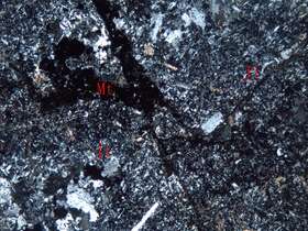 弱磁铁矿化蚀变安山质火山角砾岩