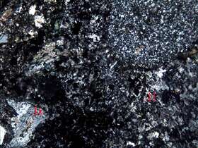 弱磁铁矿蚀变含火山角砾岩屑凝灰岩