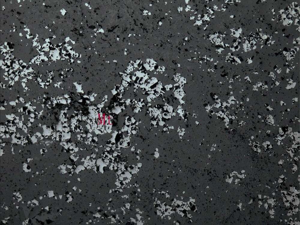 磁铁矿矿石（稀疏浸染状）