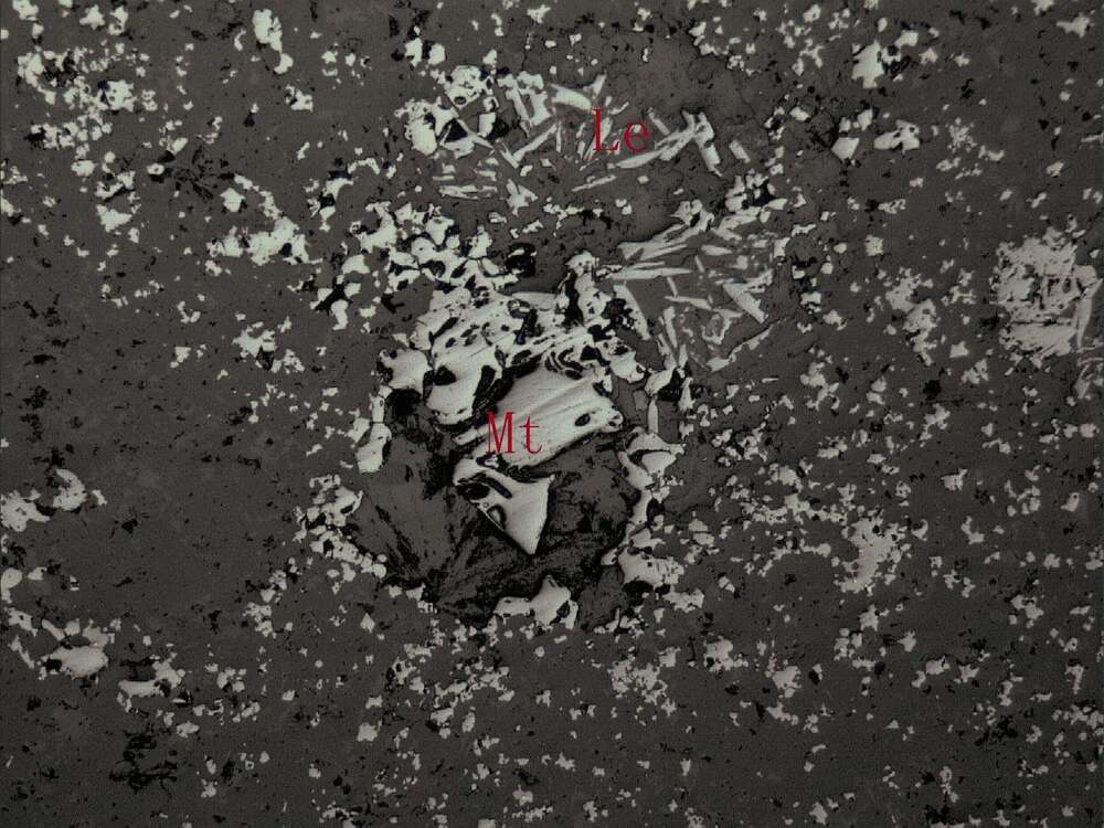 中等浸染磁铁矿矿石