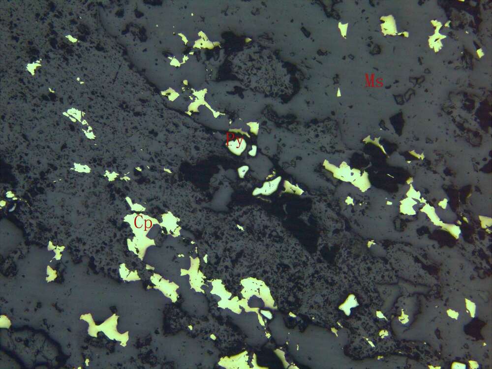 强碎裂黄铁绢英岩化斜长花岗斑岩（黄铜矿矿石）