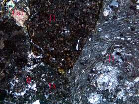 蚀变火山角砾岩