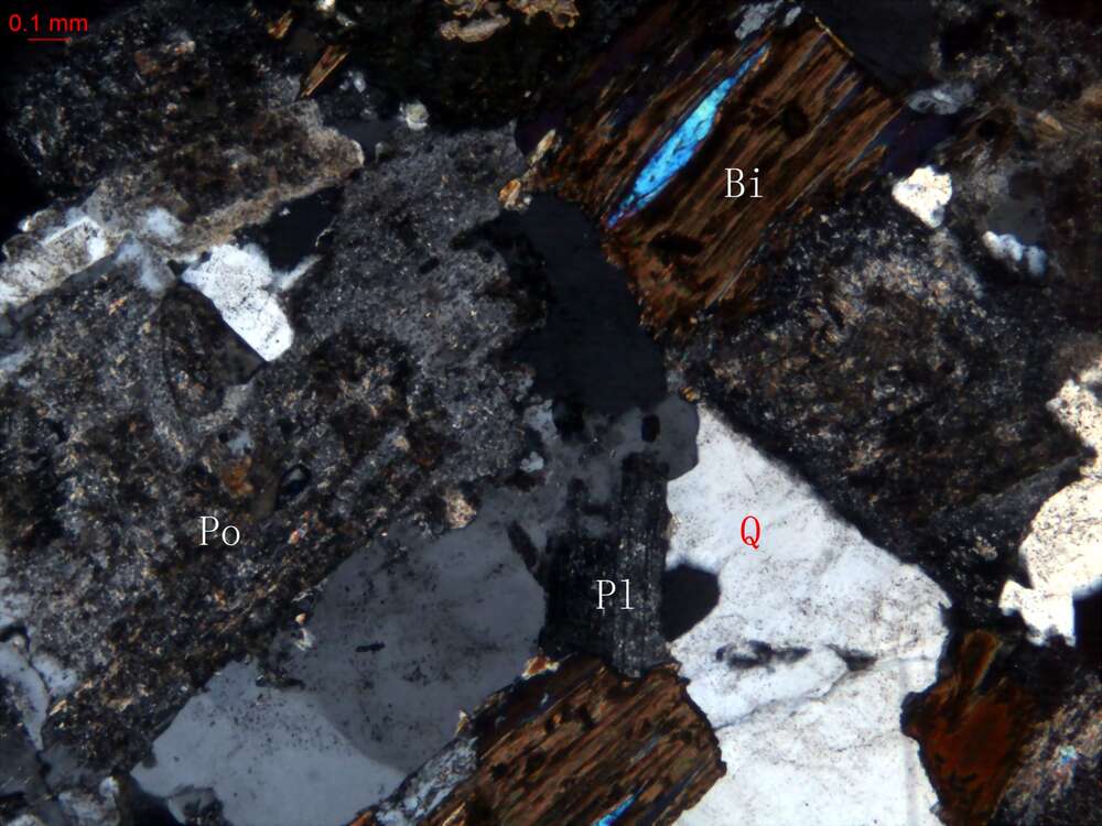 蚀变中细粒黑云母花岗闪长岩