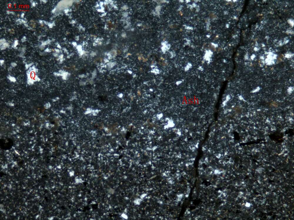 蚀变纹层状火山灰尘凝灰岩