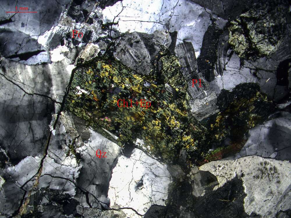弱蚀变黑云母二长花岗岩
