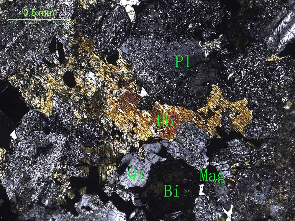 蚀变细粒石英闪长岩