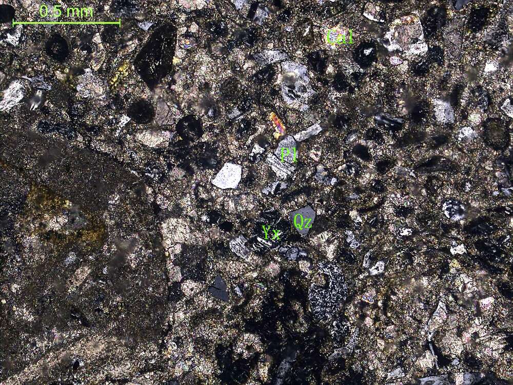 含生物碎屑陆源碎屑亮晶砂屑灰岩