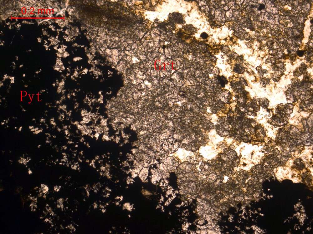 硅化-金属矿化石榴石矽卡岩 