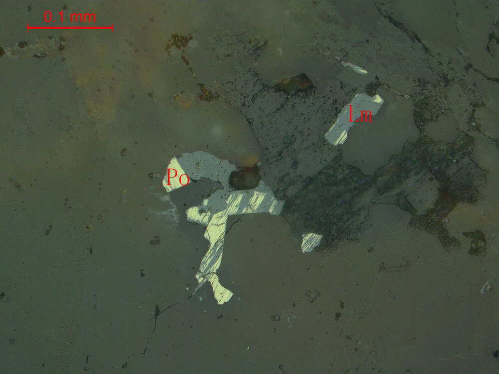 钛铁矿、褐铁矿化磁黄铁矿