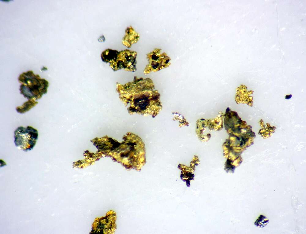 自然金形态分布