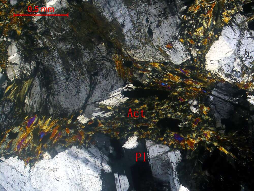 中粒闪长岩